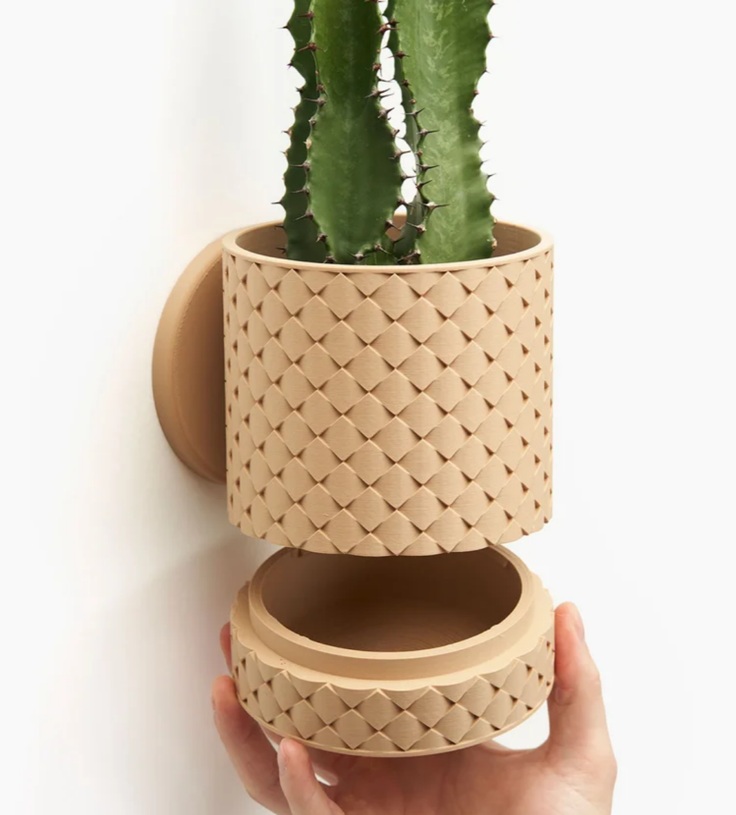 Wall Planter with Hidden Drip Tray - Various Designs