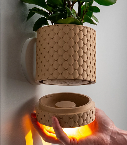 Wall Planter with Light - Various Designs